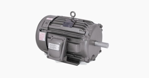 ABB       EES GLOBAL SERVICES PRIVATE LIMITED, INDIA