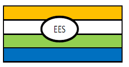 EES GLOBAL SERVICES PRIVATE LIMITED, INDIA